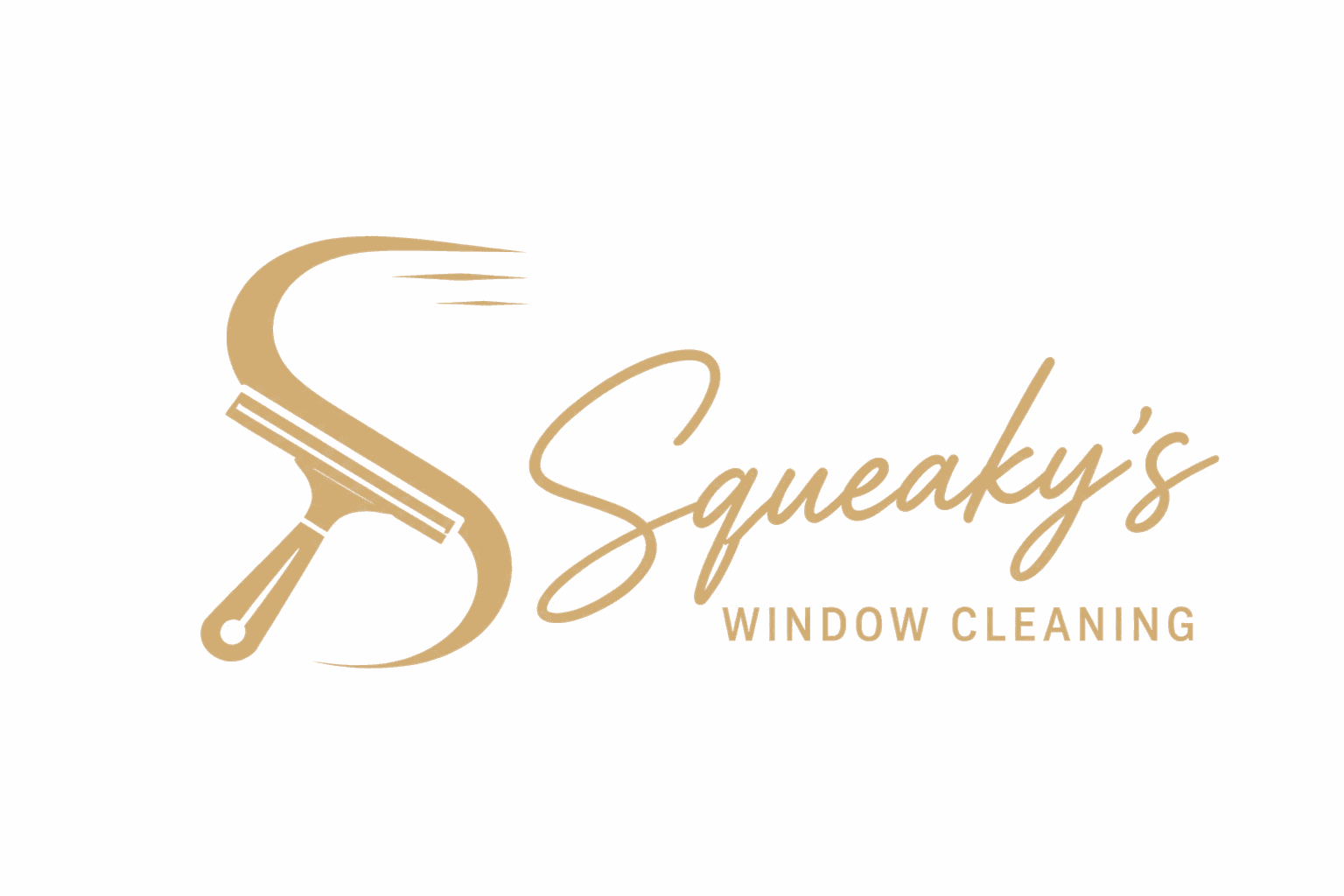 Squeaky's Window Services LLC logo